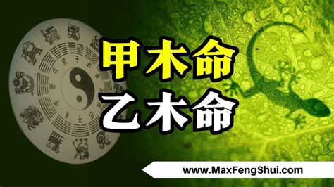 命主乙木|【八字 乙木】乙木命理大揭秘！剖析「八字乙木」的獨特性格、。